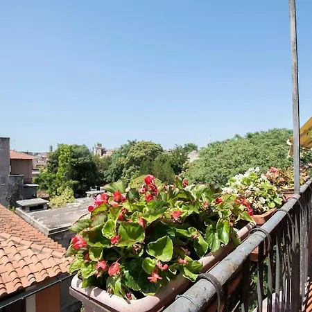 Colosseo The Family In Monti Daire Roma