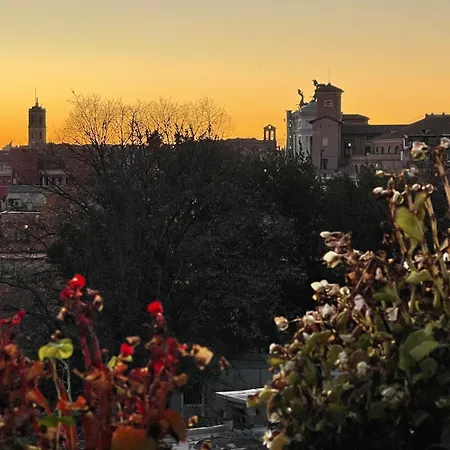 Daire Colosseo The Family In Monti *